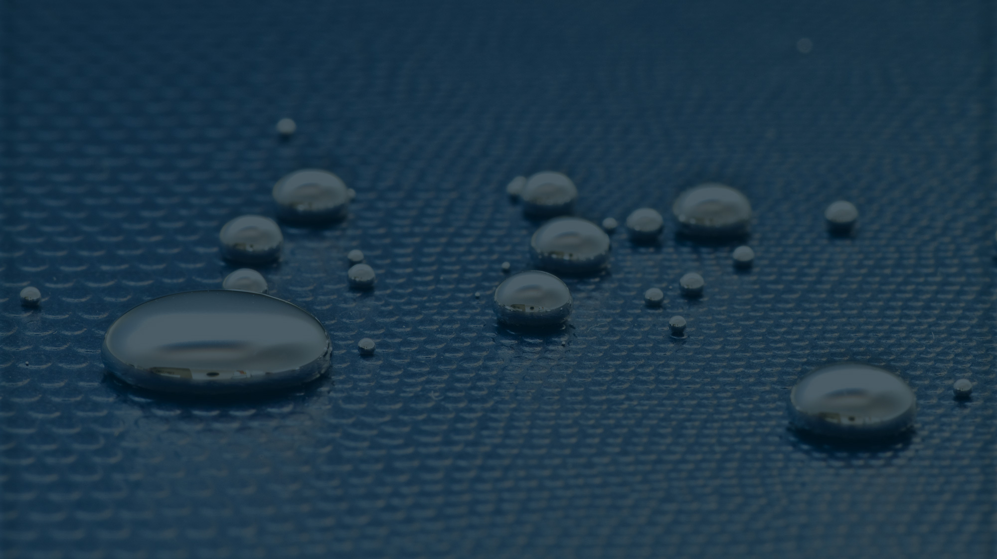 Entête Contaminant