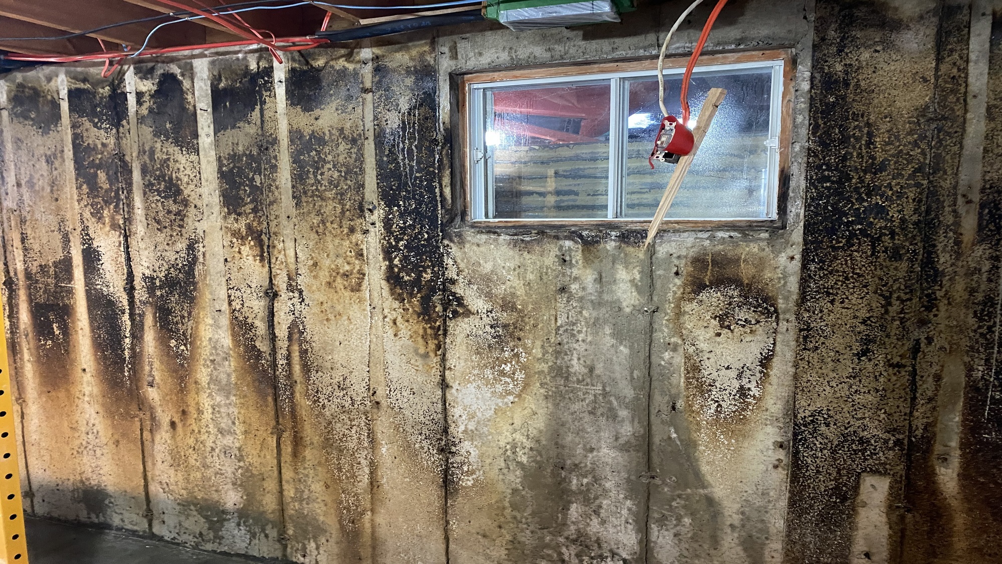 Décontamination Qc
