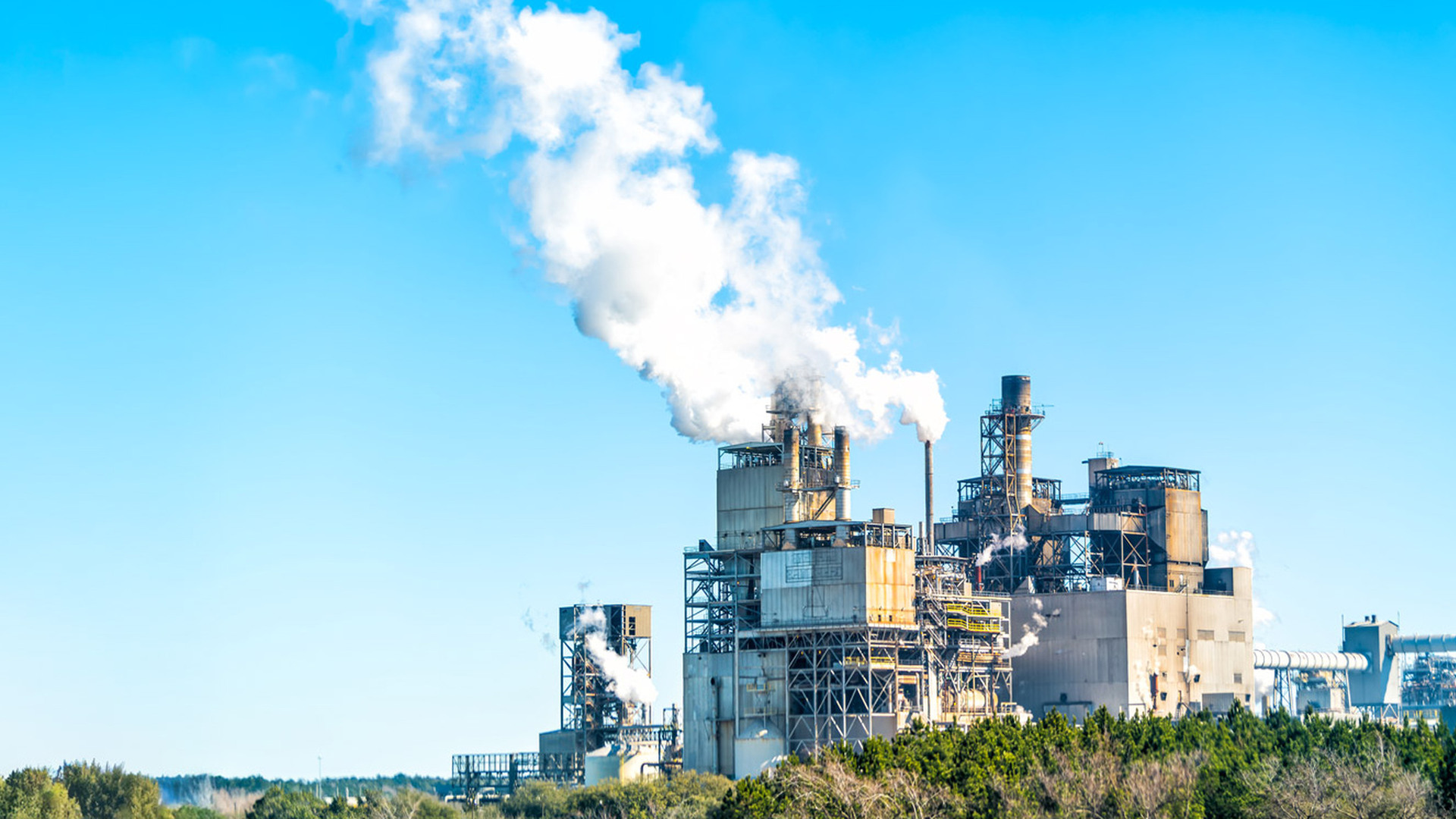 Décontamination Qc