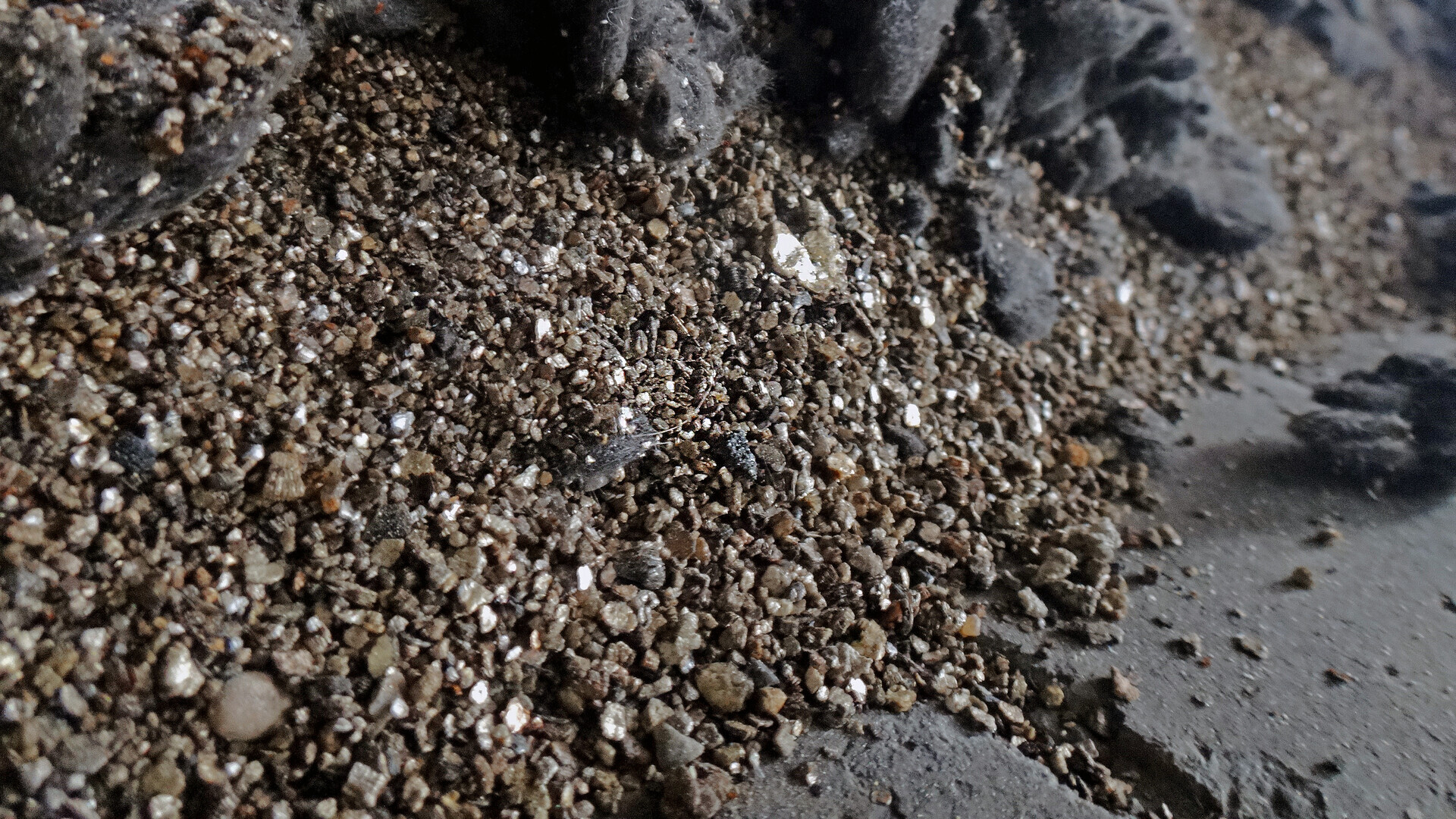 Décontamination Qc